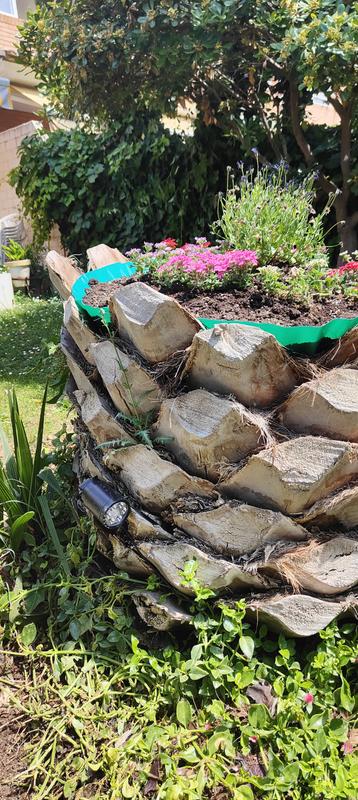 Abrir modal de revisión 3 de 3