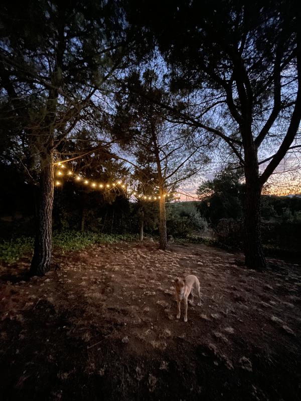 Abrir modal de revisión 1 de 1