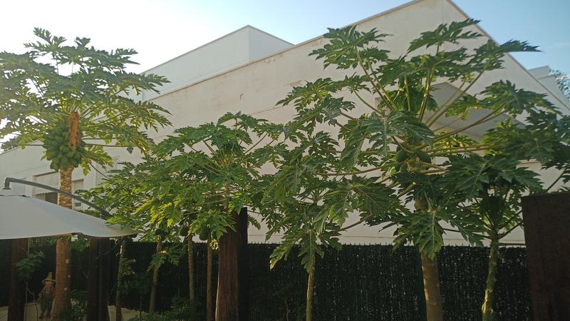 Abrir modal de revisión 2 de 2