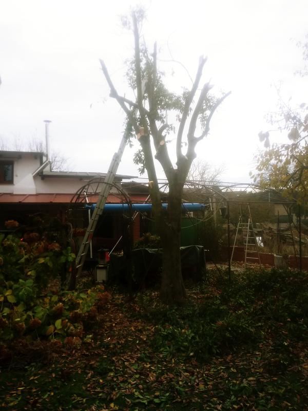 Ouvrir la fenêtre modale de l'avis 2 sur 2