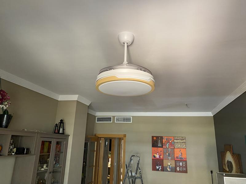 Ouvrir la fenêtre modale de l'avis 1 sur 1