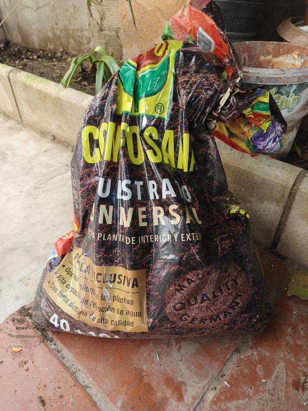 Abrir modal de revisión 1 de 1