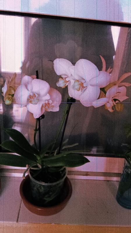 Abra o modal de avaliação 1 de 1