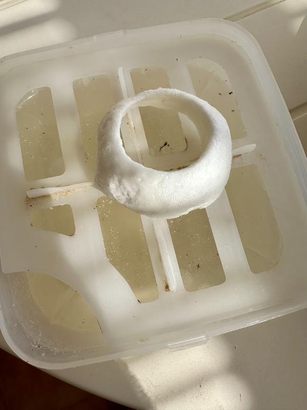 Abra o modal de avaliação 1 de 1