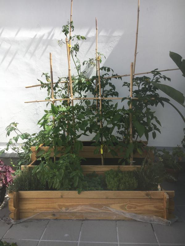 Abra o modal de avaliação 1 de 1