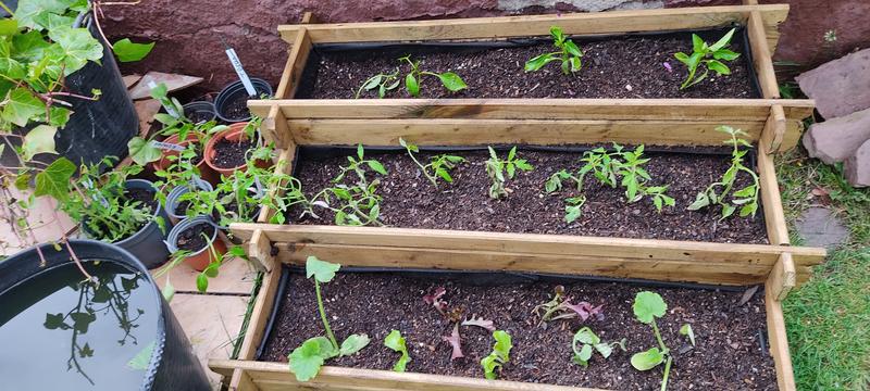 Abra o modal de avaliação 1 de 1