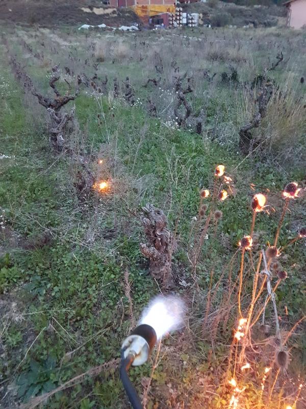 Ouvrir la fenêtre modale de l'avis 1 sur 2