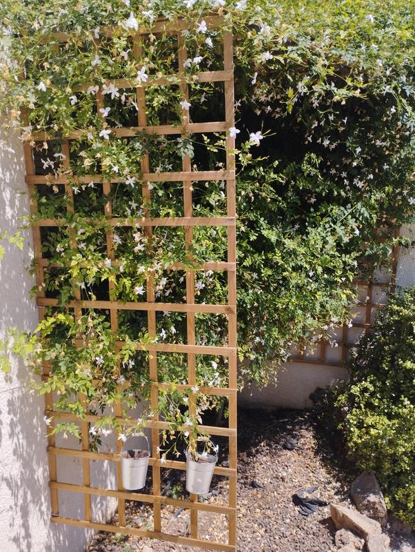 Abrir modal de revisión 1 de 1