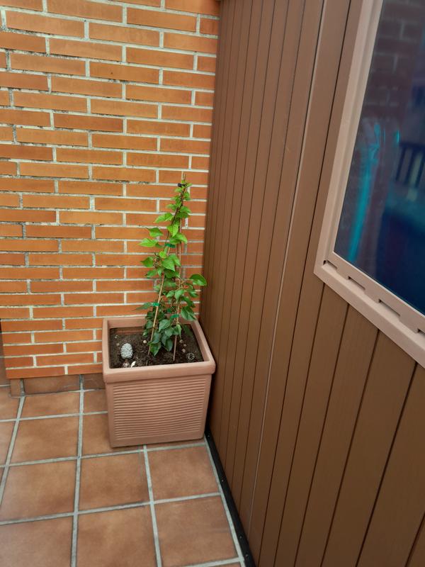 Abrir modal de revisión 1 de 1