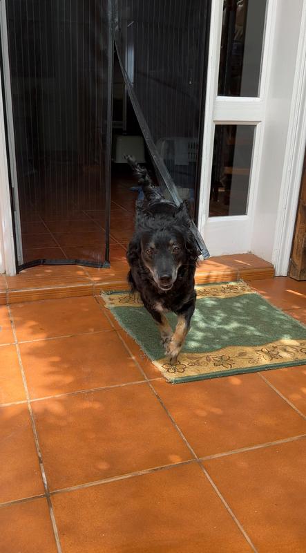 Otwórz okno opinii 1 na stronie 2