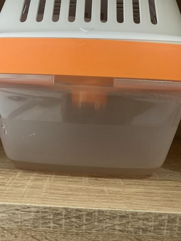 Abrir modal de revisión 1 de 1