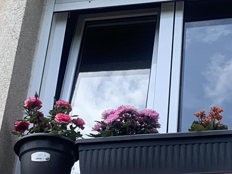 Abrir modal de revisión 1 de 1