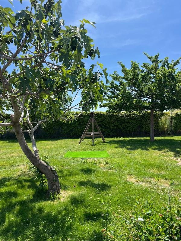 Abrir modal de revisión 1 de 1