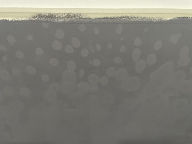 Abrir modal de revisión 1 de 2