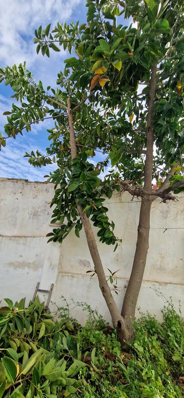 Ouvrir la fenêtre modale de l'avis 1 sur 2