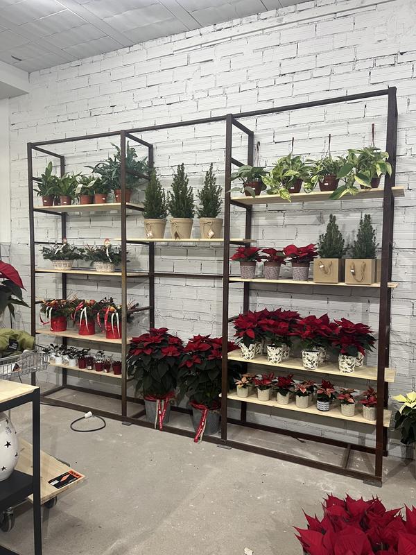 Abra o modal de avaliação 1 de 1