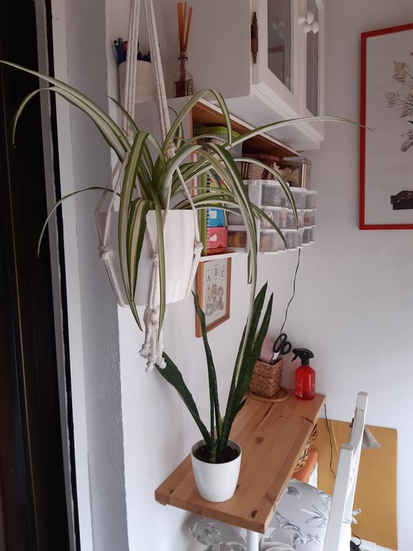 Abra o modal de avaliação 1 de 1