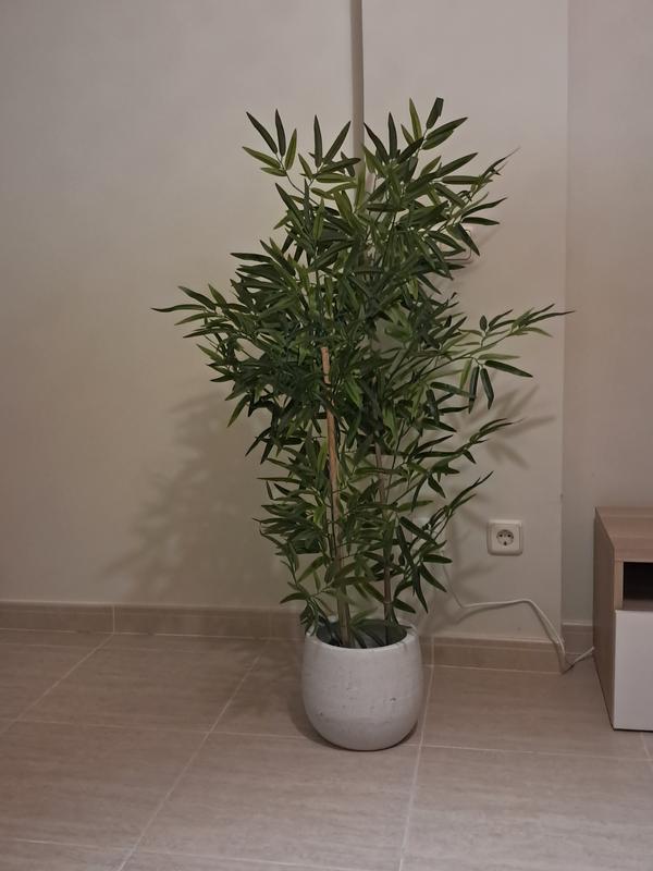 Abra o modal de avaliação 1 de 1