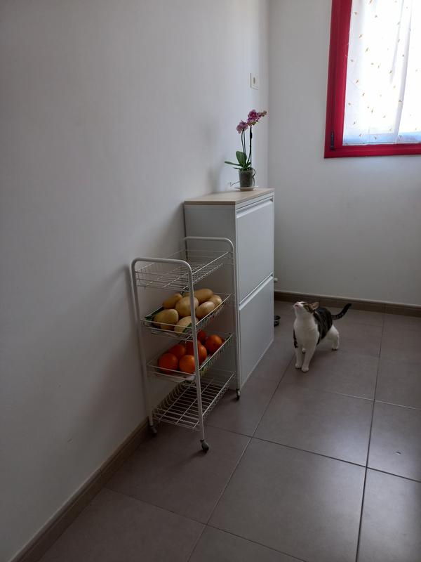 Abrir modal de revisión 1 de 1