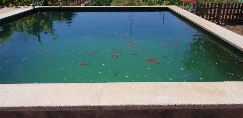 Abra o modal de avaliação 1 de 2