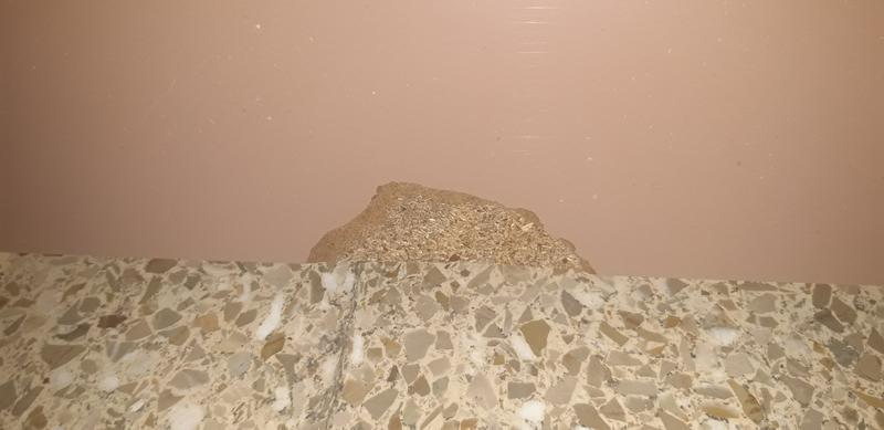 Abrir modal de revisión 1 de 2