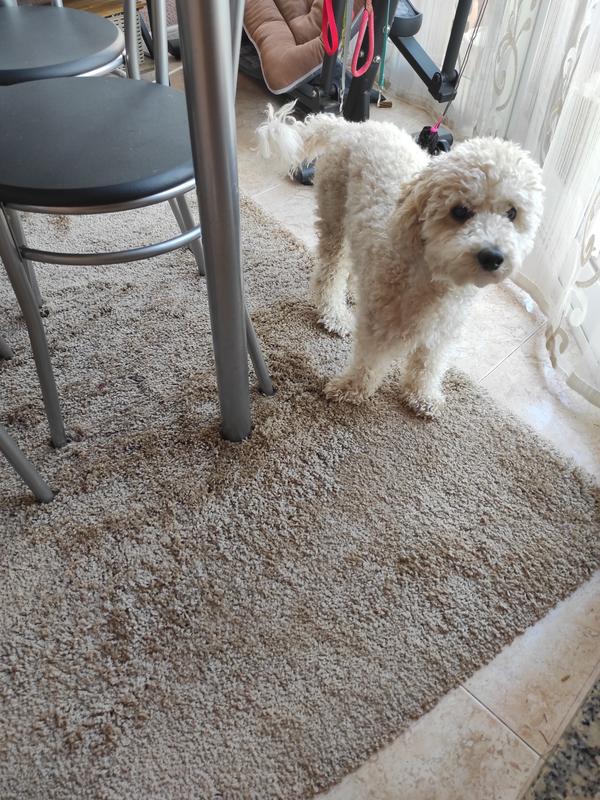 Abrir modal de revisión 1 de 2