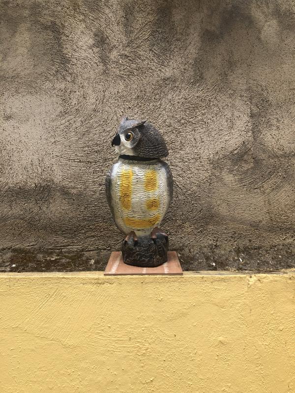 Abra o modal de avaliação 1 de 1