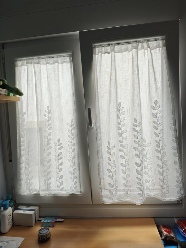 Abrir modal de revisión 1 de 1