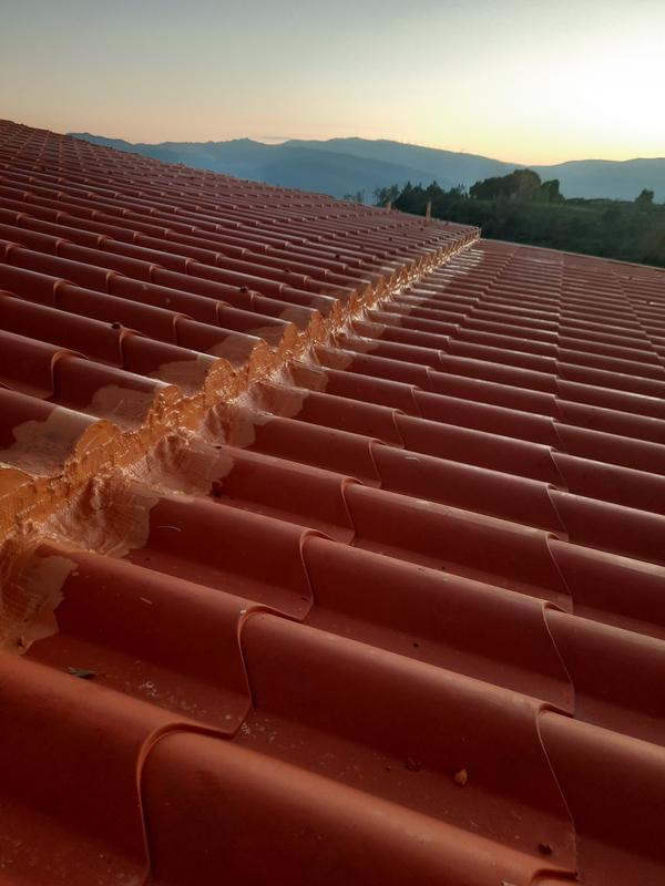 Abrir modal de revisión 1 de 1