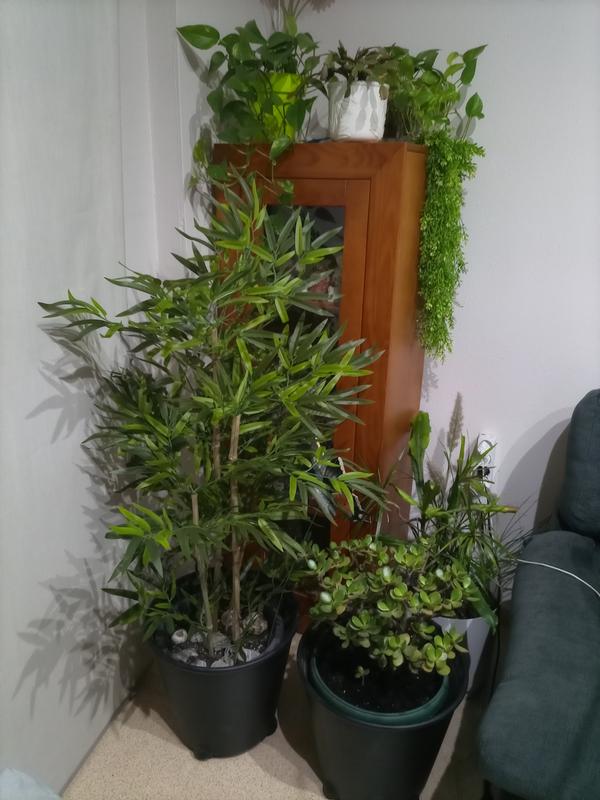 Abra o modal de avaliação 1 de 1