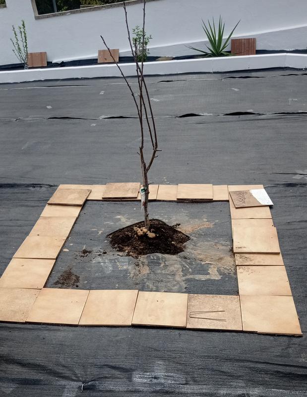 Abrir modal de revisión 1 de 1