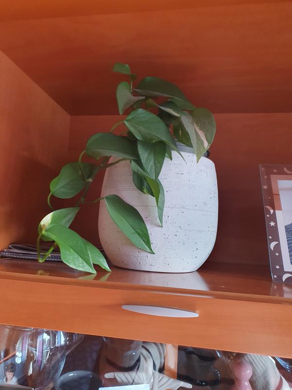 Abra o modal de avaliação 1 de 1