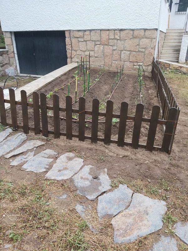 Abrir modal de revisión 2 de 3