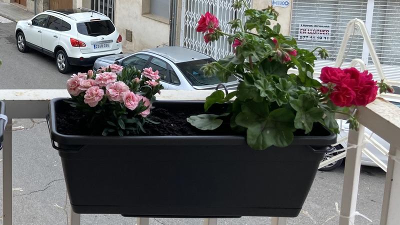 Abrir modal de revisión 1 de 2