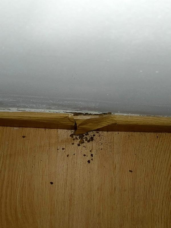 Abrir modal de revisión 1 de 1