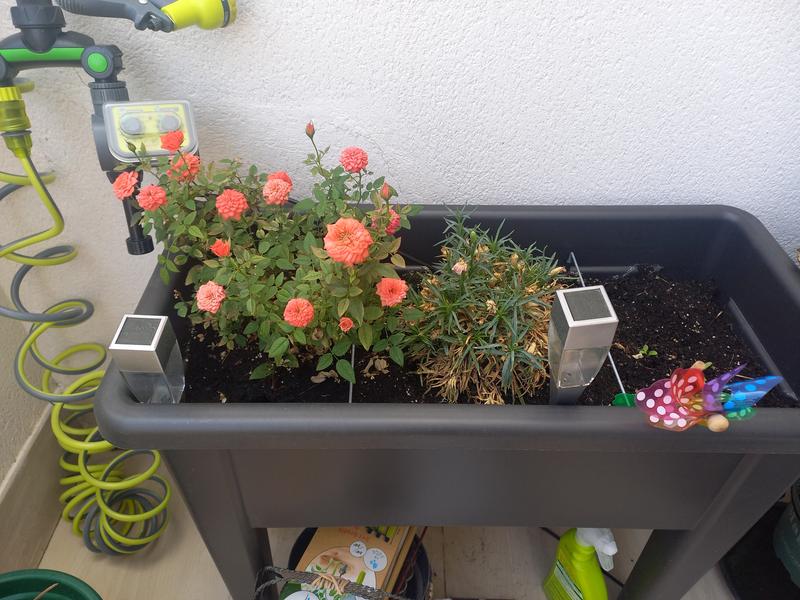 Abra o modal de avaliação 1 de 1