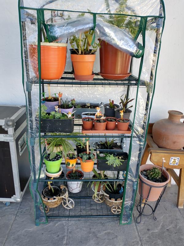 Abrir modal de revisión 1 de 1