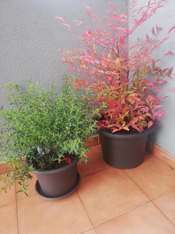 Abra o modal de avaliação 1 de 1