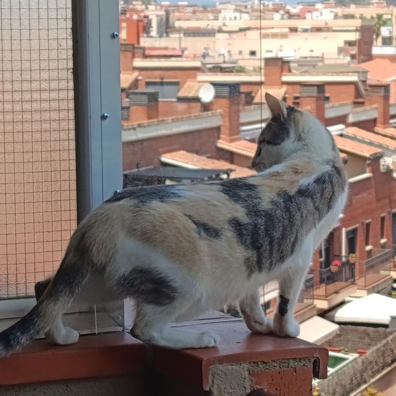 Abrir modal de revisión 1 de 1