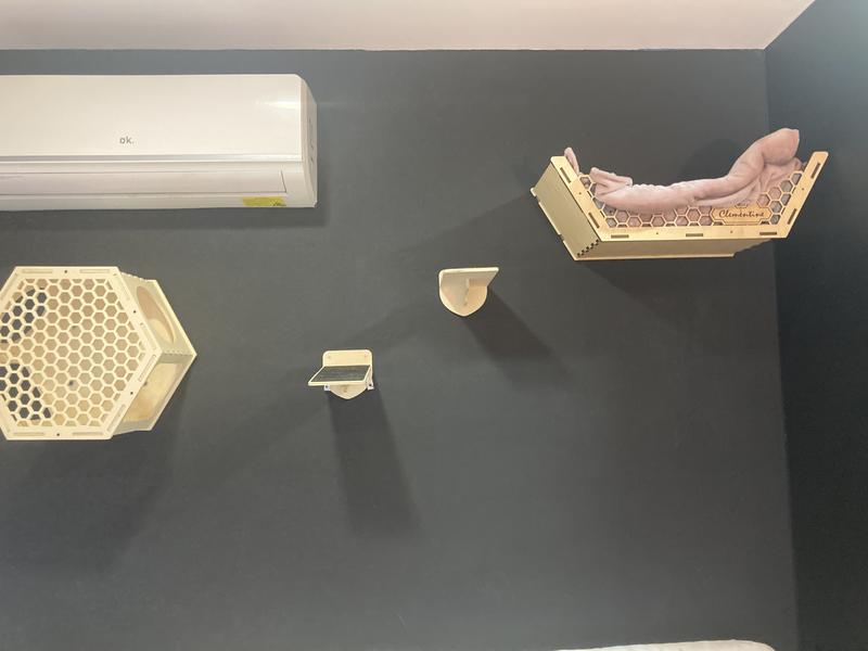 Abrir modal de revisión 1 de 1