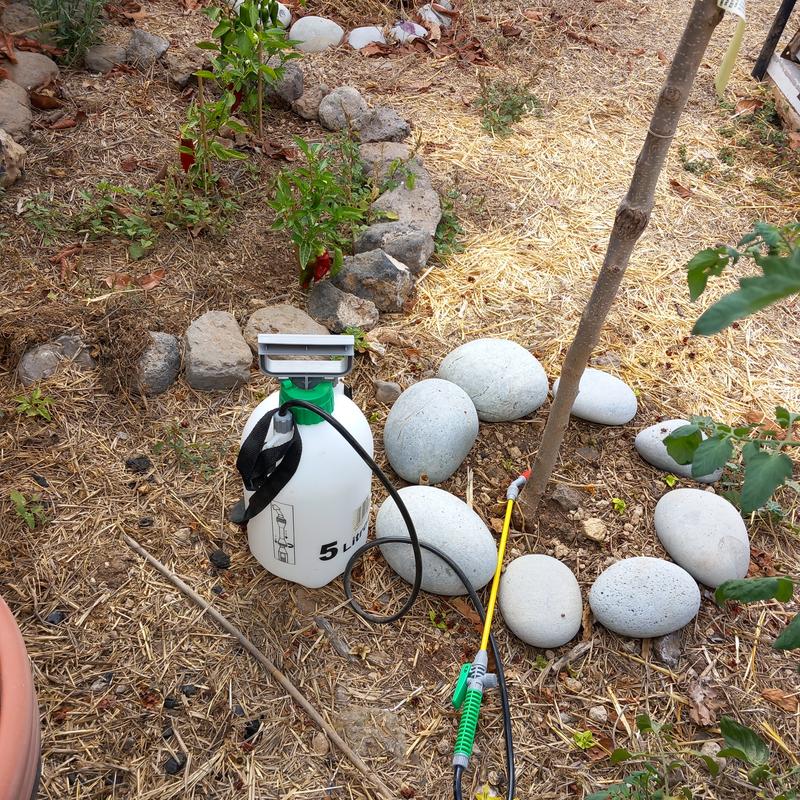 Abrir modal de revisión 1 de 1