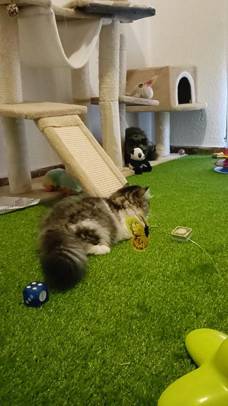 Abrir modal de revisión 1 de 1