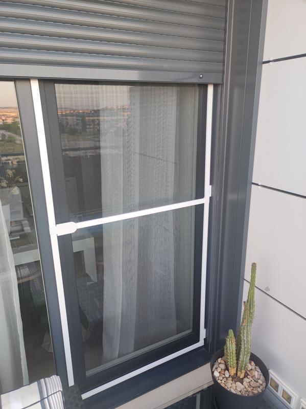 Revisione aperta modale 1 su 2