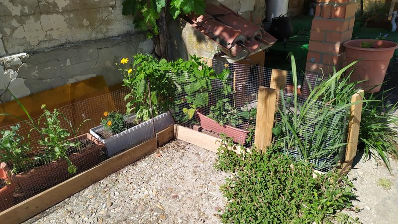 Ouvrir la fenêtre modale de l'avis 5 sur 6