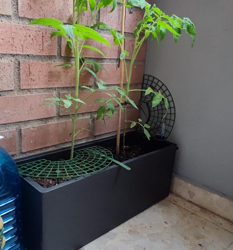 Abrir modal de revisión 1 de 1