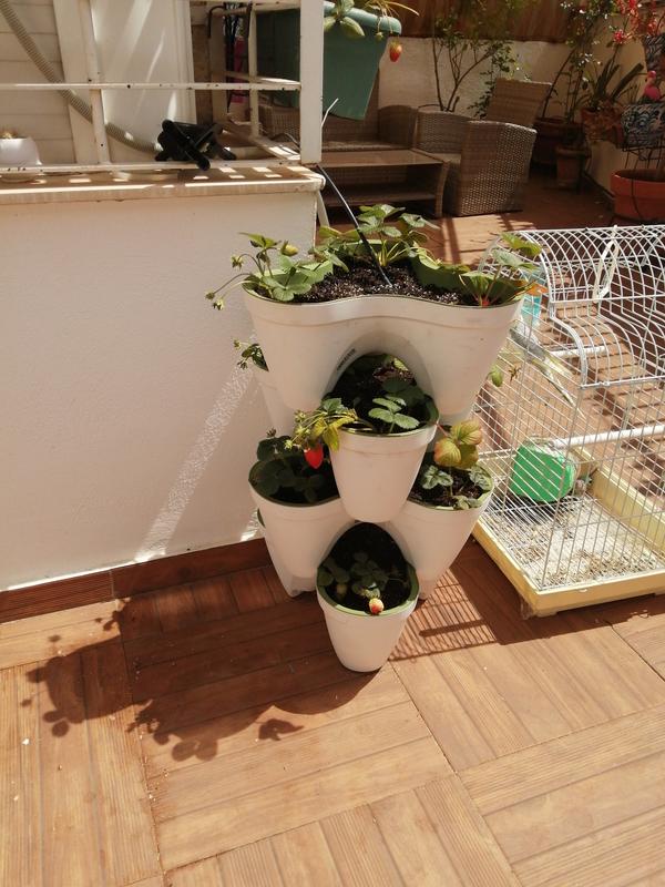 Abra o modal de avaliação 1 de 1