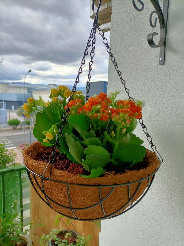 Maceteros Colgantes Leroy Merlin