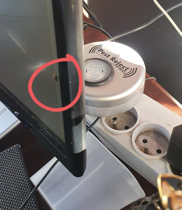 Abrir modal de revisión 1 de 1