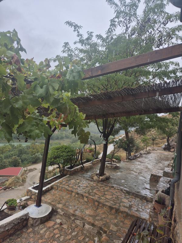 Revisione aperta modale 1 su 1