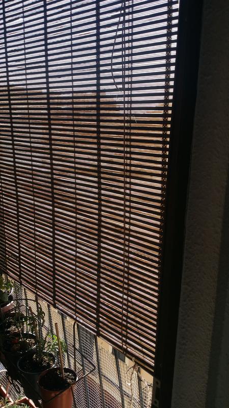 Abrir modal de revisión 2 de 2